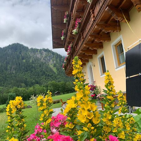Alpen Appartements Oberlehengut Werfenweng Zewnętrze zdjęcie