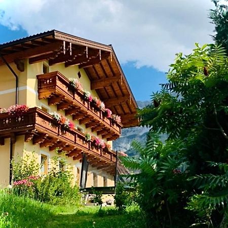 Alpen Appartements Oberlehengut Werfenweng Zewnętrze zdjęcie