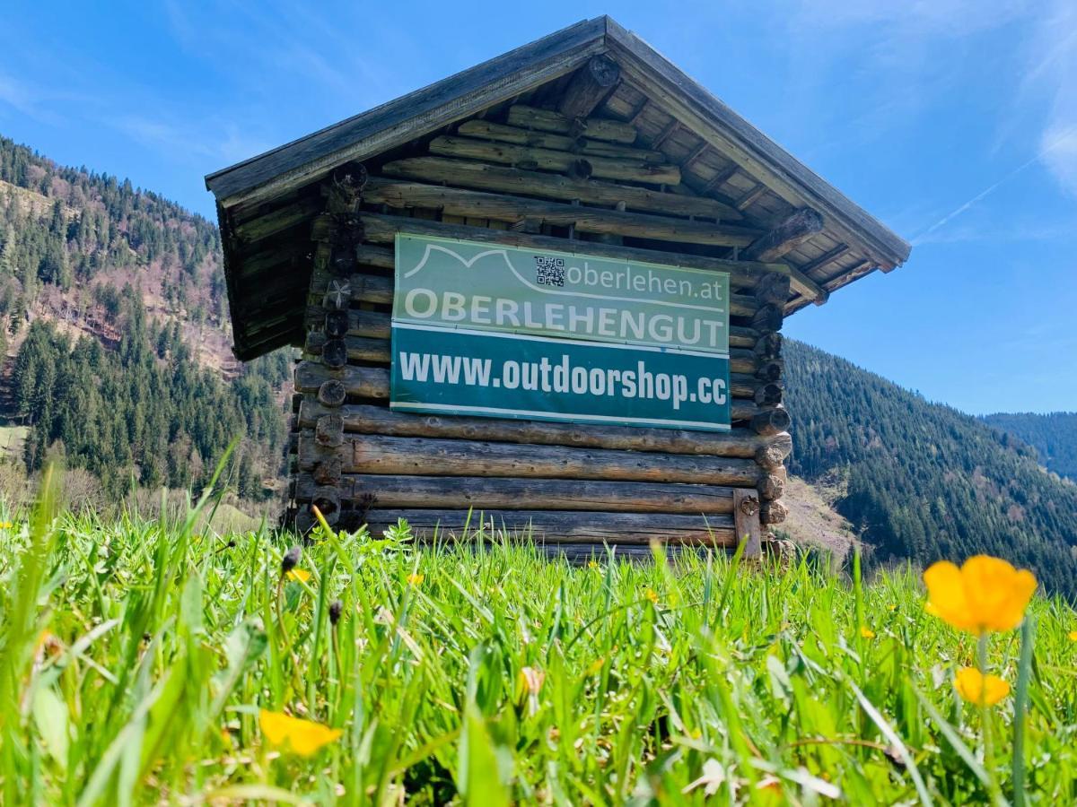 Alpen Appartements Oberlehengut Werfenweng Zewnętrze zdjęcie