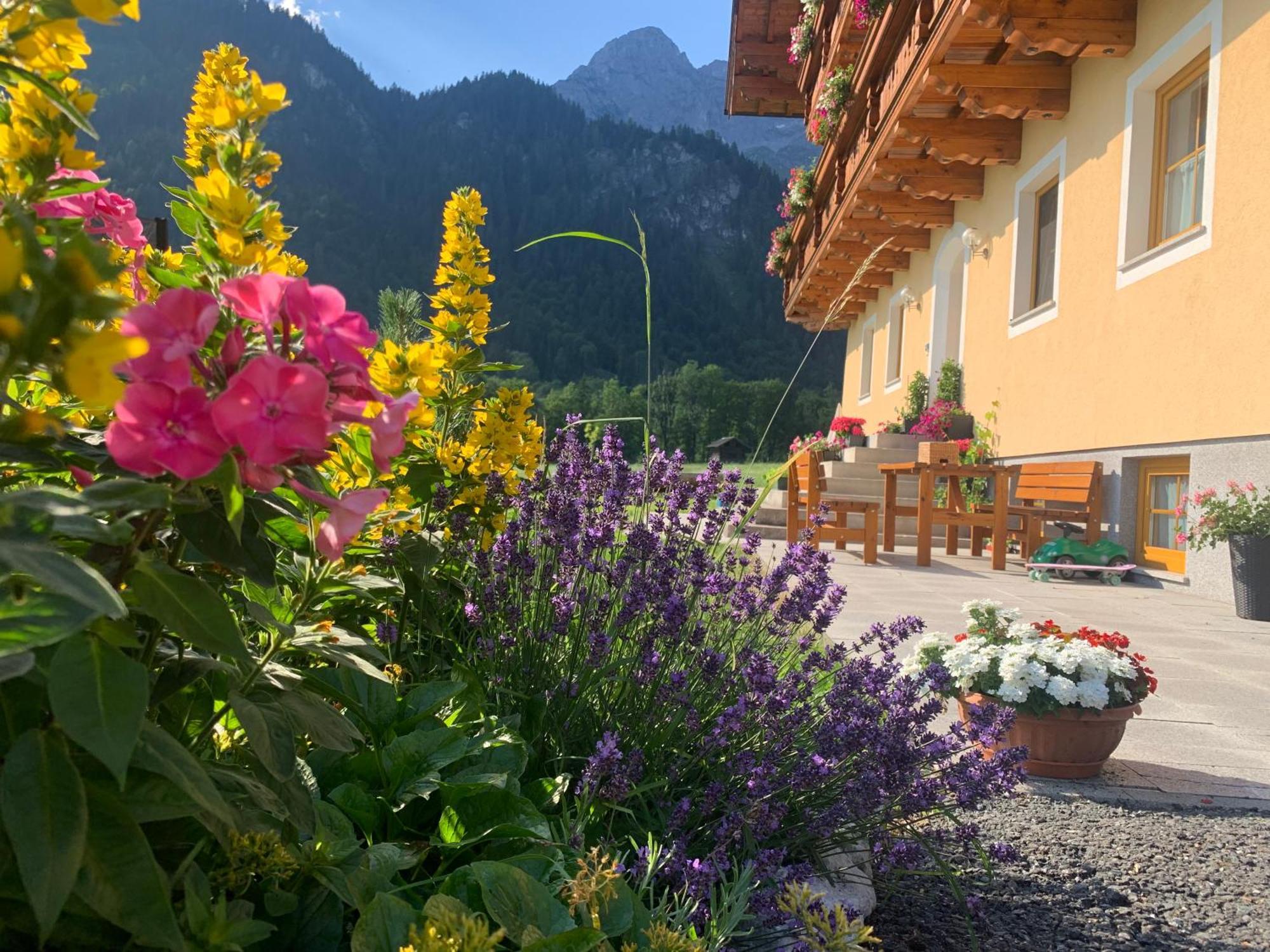 Alpen Appartements Oberlehengut Werfenweng Zewnętrze zdjęcie