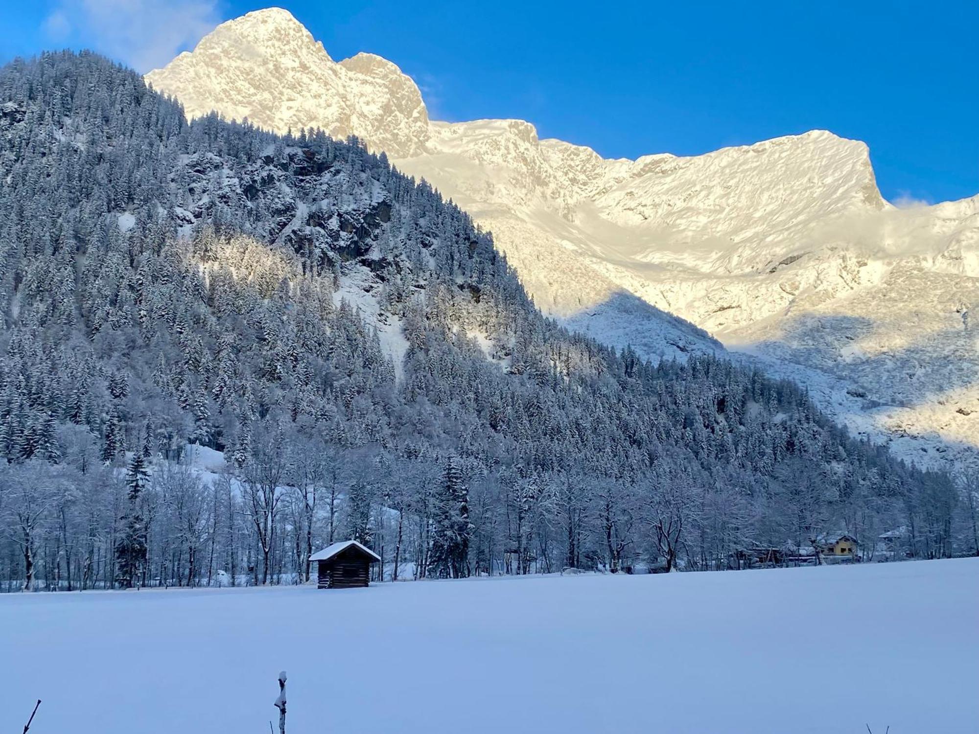 Alpen Appartements Oberlehengut Werfenweng Zewnętrze zdjęcie