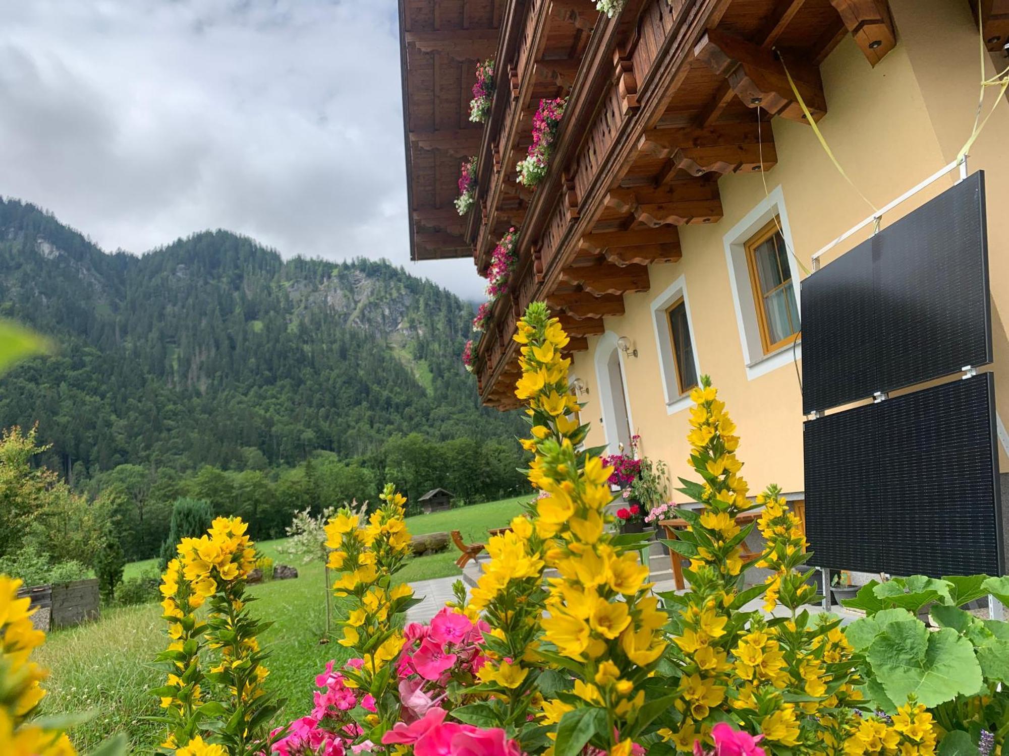 Alpen Appartements Oberlehengut Werfenweng Zewnętrze zdjęcie
