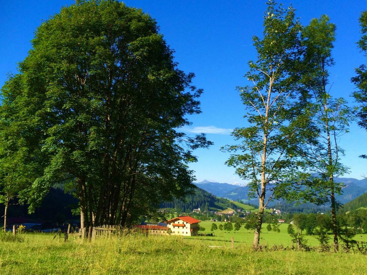 Alpen Appartements Oberlehengut Werfenweng Zewnętrze zdjęcie