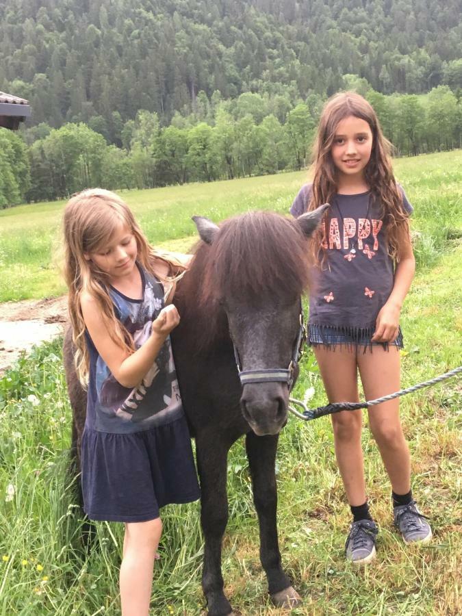 Alpen Appartements Oberlehengut Werfenweng Zewnętrze zdjęcie